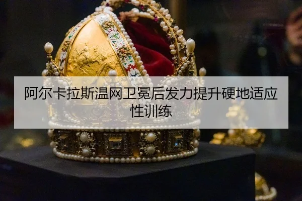 a-er-ka-la-si-wen-wang-wei-mian-hou-fa-li-ti-sheng-ying-di-shi-ying-xing-xun-lian-3-830.jpg