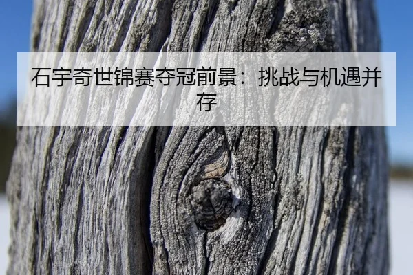 shi-yu-qi-shi-jin-sai-duo-guan-qian-jing-tiao-zhan-yu-ji-yu-bing-cun-2-299.jpg