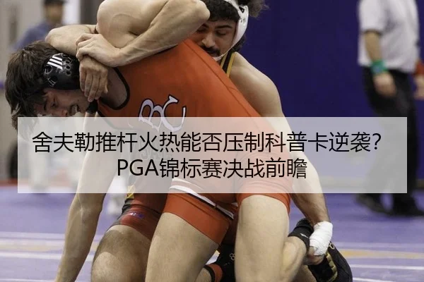 舍夫勒推杆火热能否压制科普卡逆袭？PGA锦标赛决战前瞻