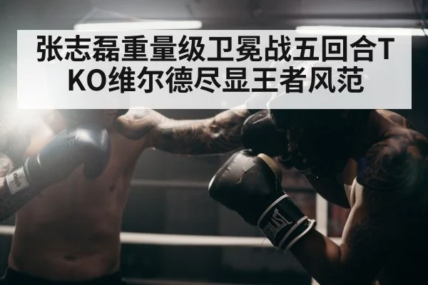 张志磊重量级卫冕战五回合TKO维尔德尽显王者风范
