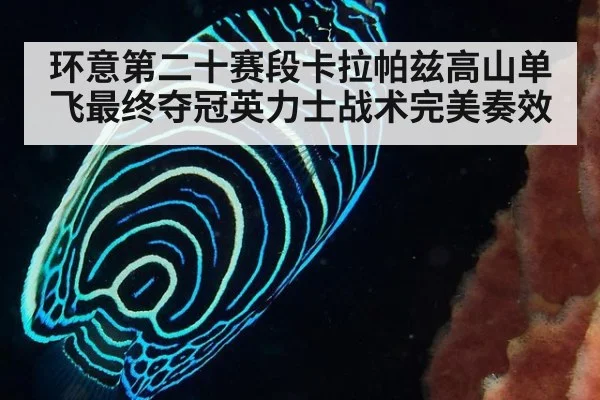 环意第二十赛段卡拉帕兹高山单飞最终夺冠英力士战术完美奏效